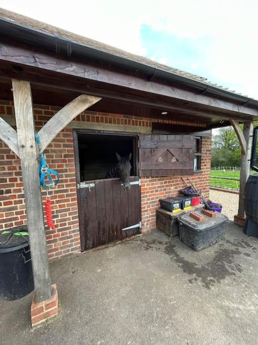 Apartamento The Stable, Grove End Farm Petworth Exterior foto