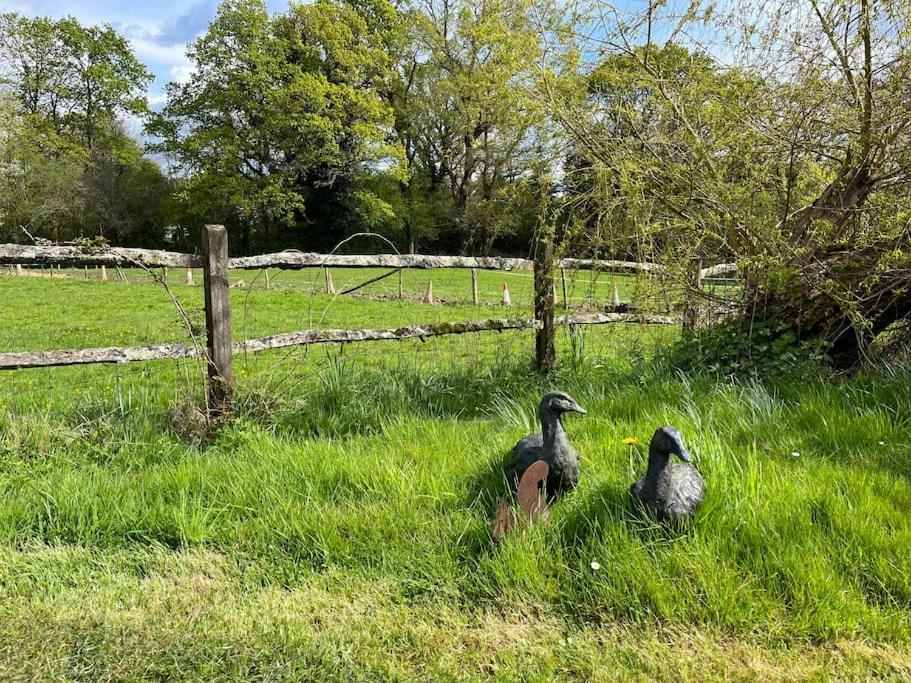 Apartamento The Stable, Grove End Farm Petworth Exterior foto