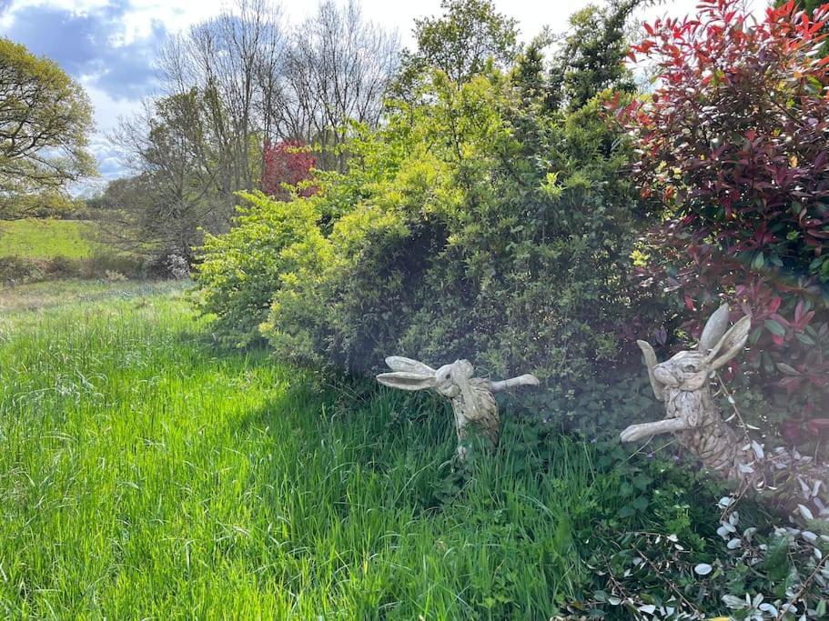 Apartamento The Stable, Grove End Farm Petworth Exterior foto